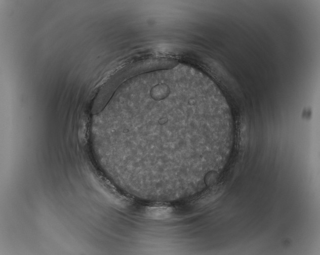 X0000114640266200911101305