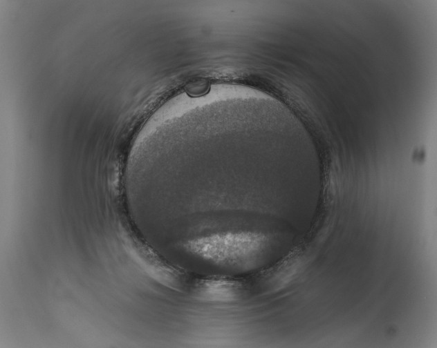 X0000114640268200911101305