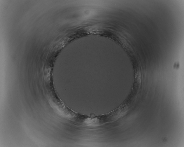 X0000114640271200911101305