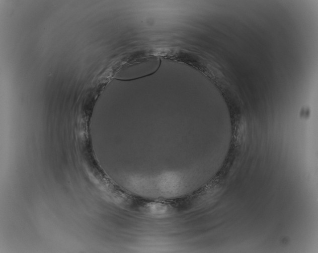 X0000114640272200911101305