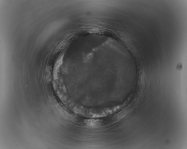 X0000114640273200911101305