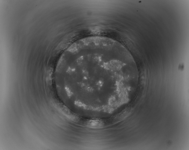 X0000114640275200911101305