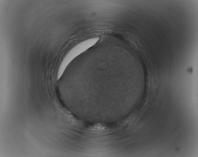 X0000114640276200911101305