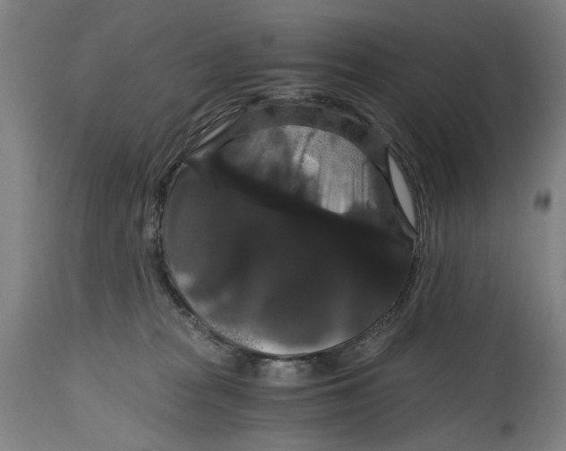 X0000114640277200911101305
