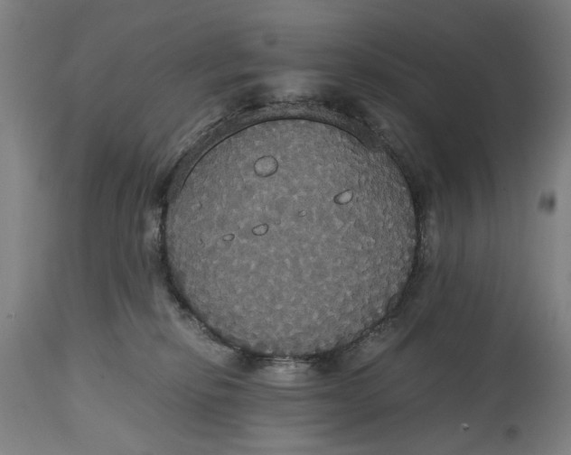 X0000114640278200911101305