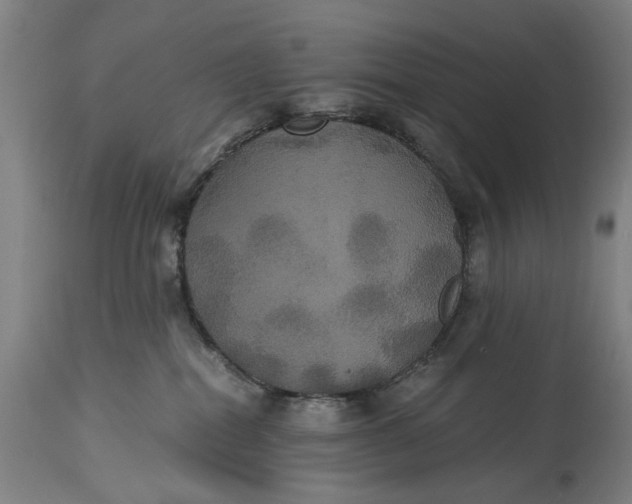 X0000114640282200911101305