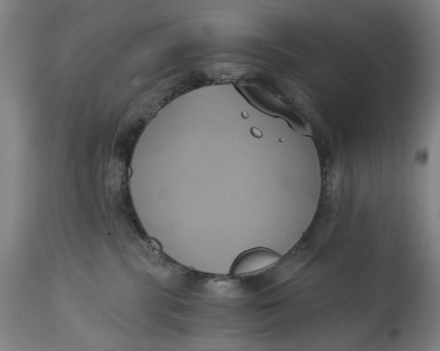 X0000114640283200911101305