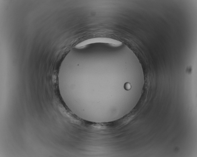X0000114640284200911101305