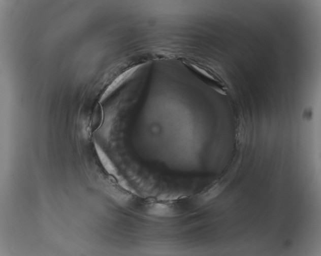 X0000114640285200911101305