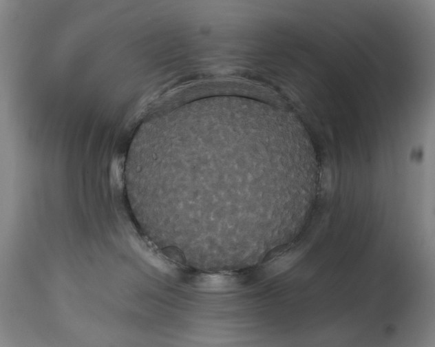 X0000114640286200911101305