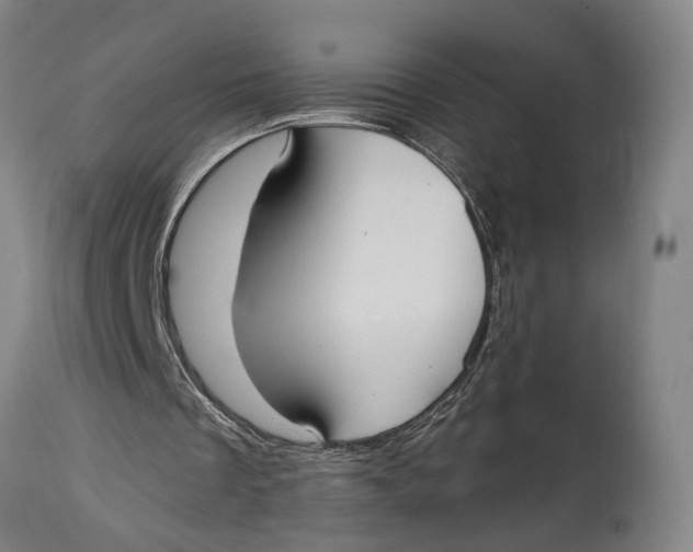 X0000114640289200911101305