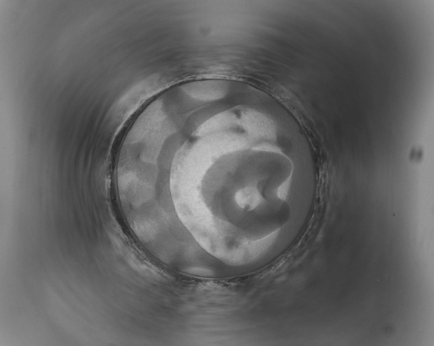 X0000114640290200911101305