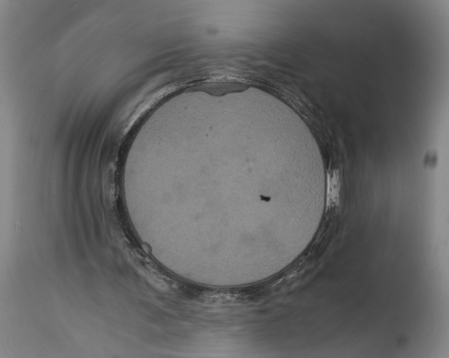 X0000114640291200911101305