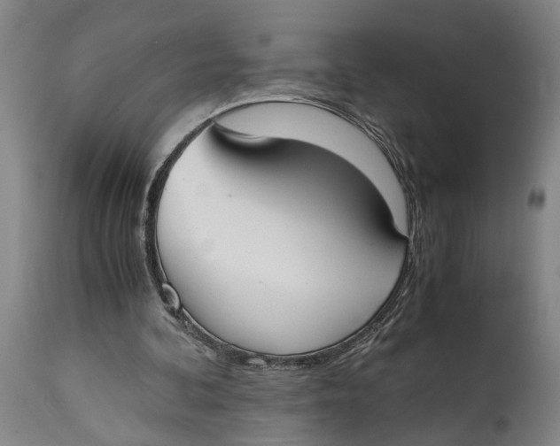 X0000114640292200911101305
