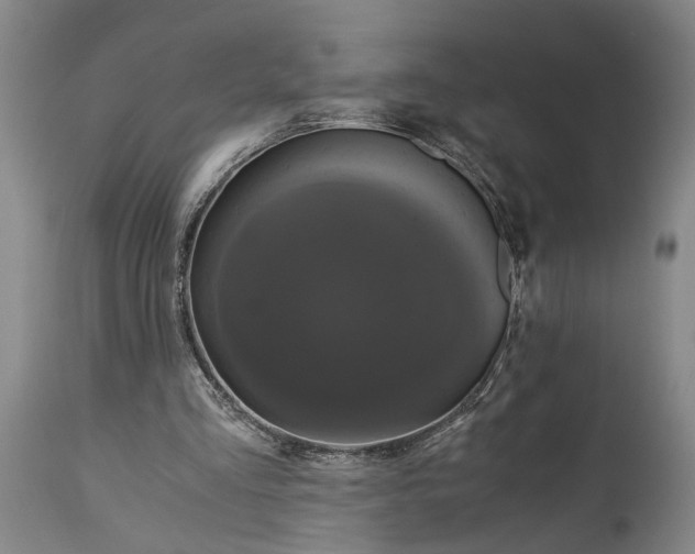 X0000114640293200911101304