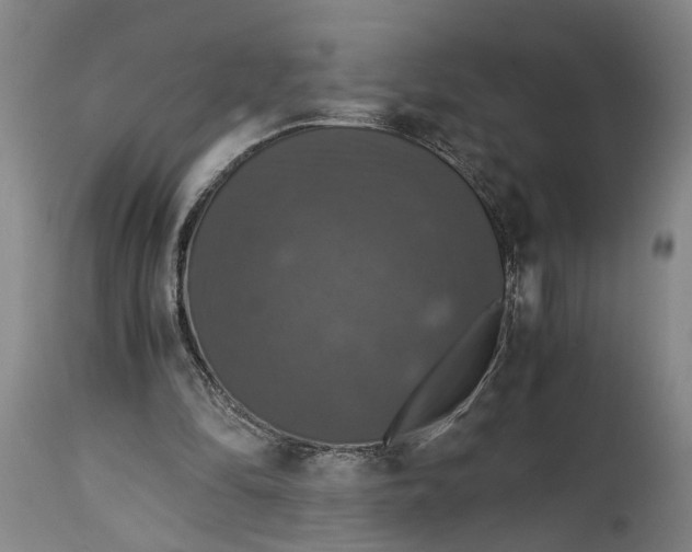 X0000114640294200911101304
