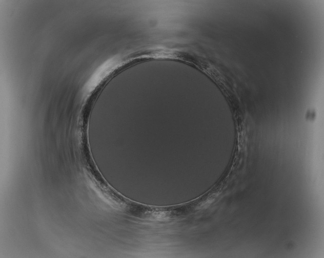 X0000114640295200911101304