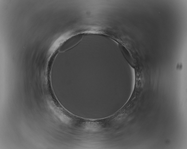 X0000114640296200911101304
