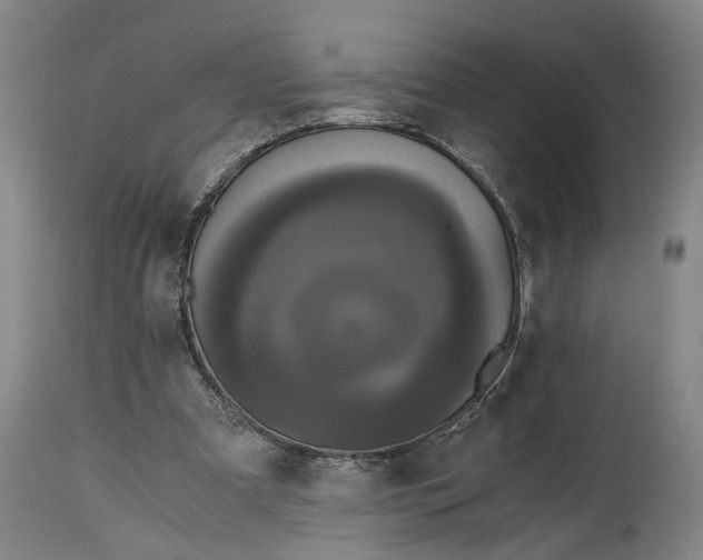X0000114640297200911101304