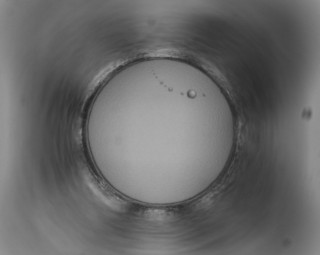 X0000114640298200911101304