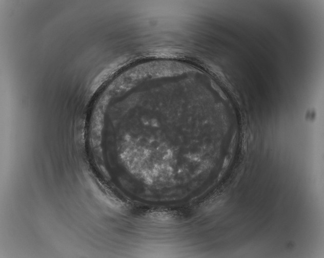 X0000114640299200911101304