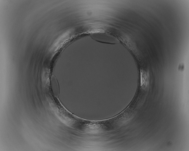 X0000114640300200911101304