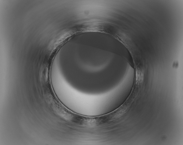 X0000114640301200911101304