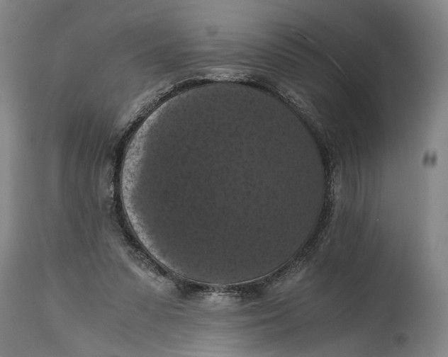 X0000114640303200911101304