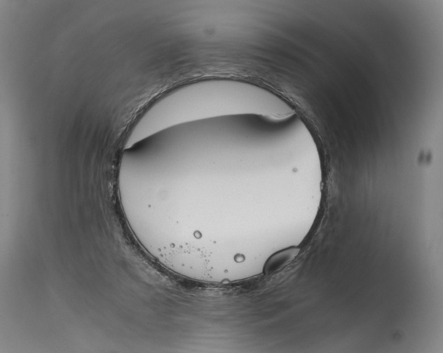 X0000114640305200911101304
