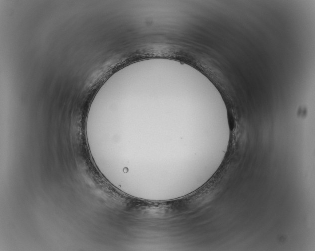 X0000114640306200911101304