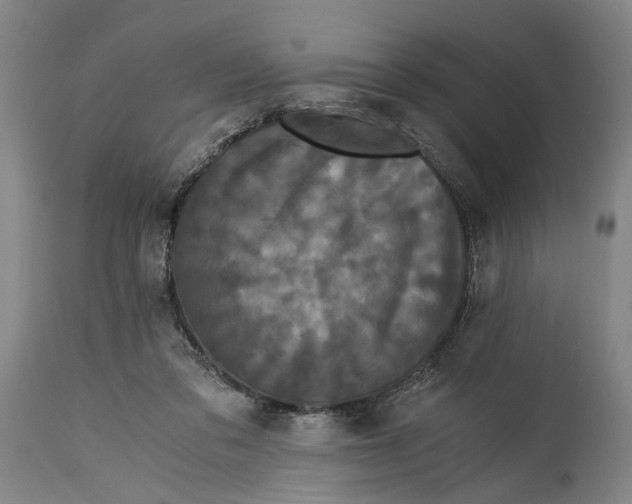 X0000114640309200911101304