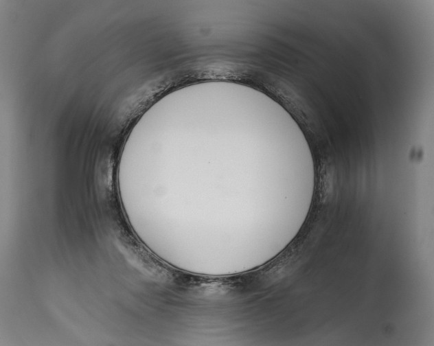 X0000114640310200911101304