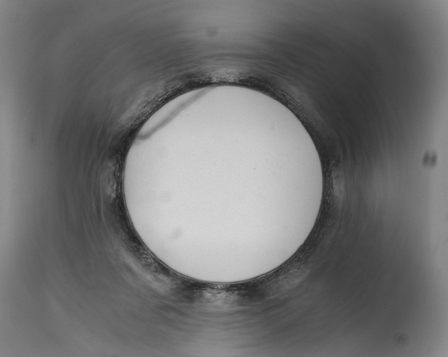 X0000114640311200911101304