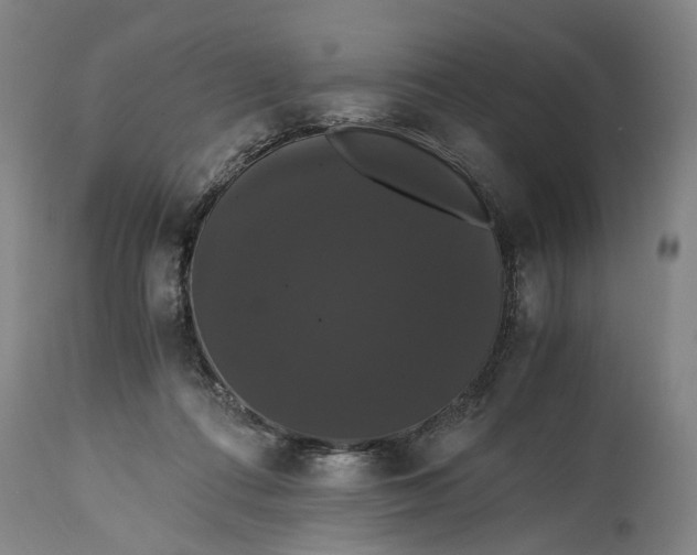 X0000114640312200911101304