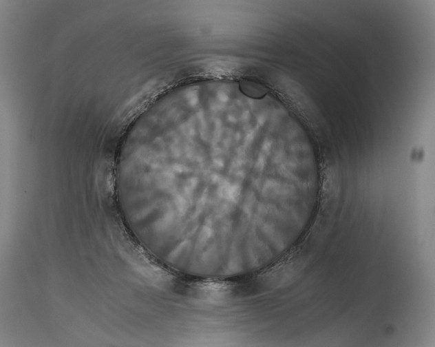 X0000114640313200911101304