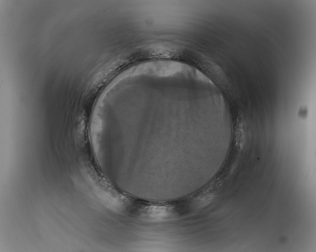 X0000114640314200911101304