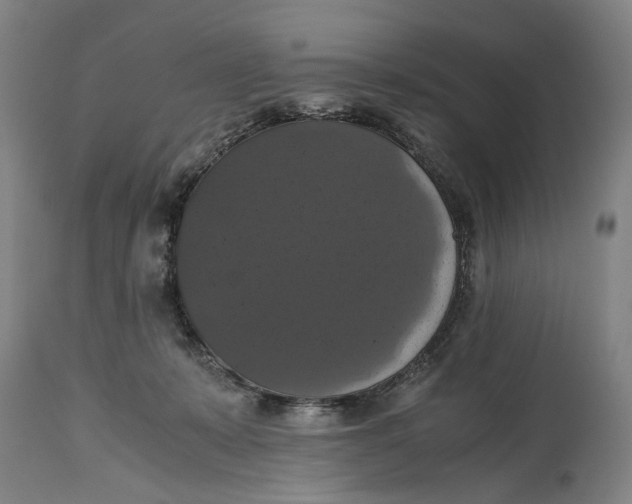 X0000114640319200911101304