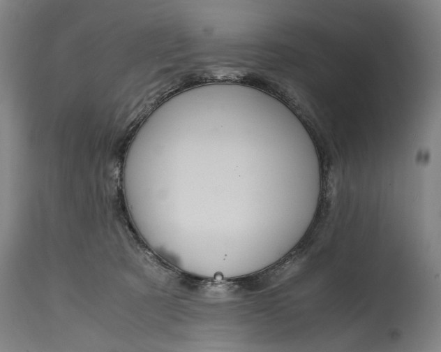 X0000114640321200911101304