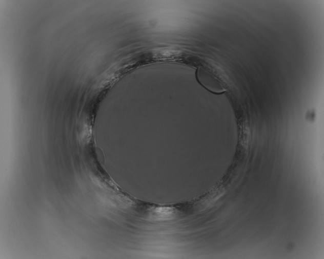 X0000114640324200911101304