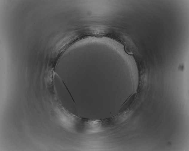 X0000114640325200911101304