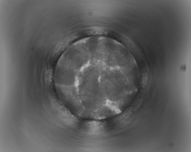 X0000114640326200911101304