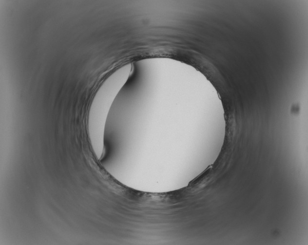 X0000114640329200911101304