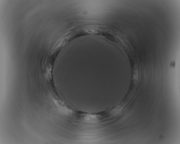 X0000114640332200911101304