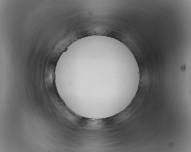 X0000114640334200911101304