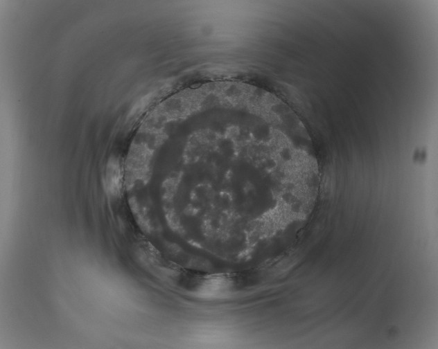 X0000114640335200911101304