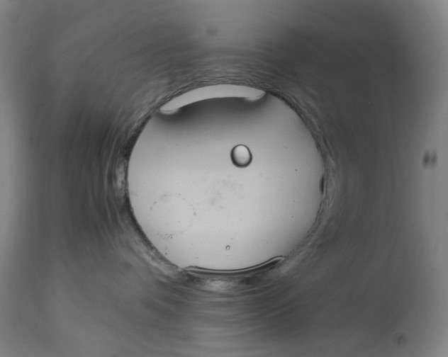 X0000114640336200911101304