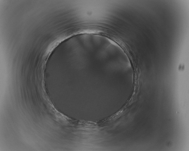 X0000114640337200911101303