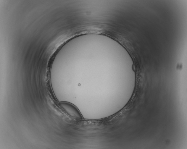 X0000114640338200911101303