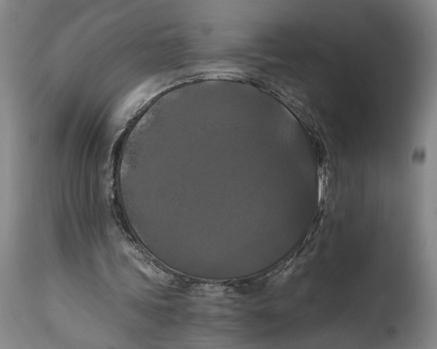 X0000114640339200911101303