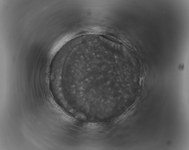 X0000114640341200911101303